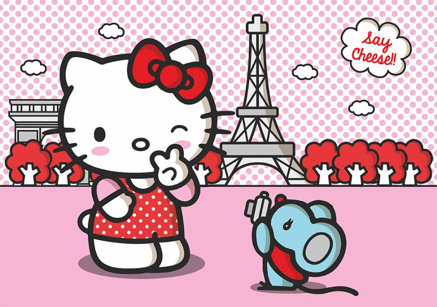 Fototapete-Tapete-Hello-Kitty-rosa-360x254-cm-FTS-.jpg