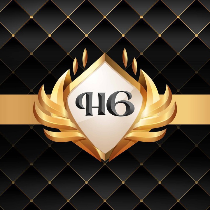 甲洞H6 Logo.jpg