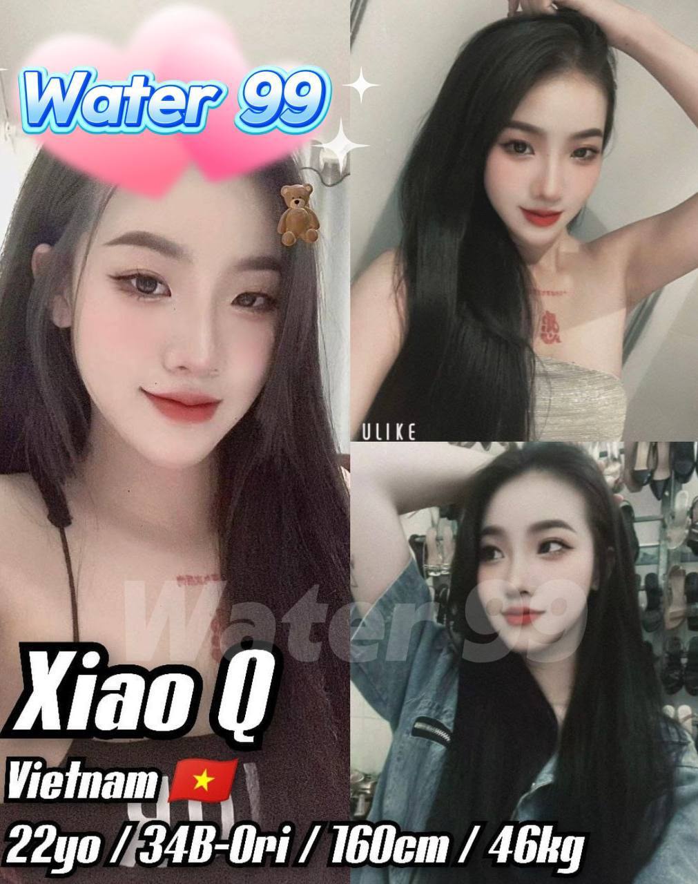 新山Bkt Indah Water9903.jpg