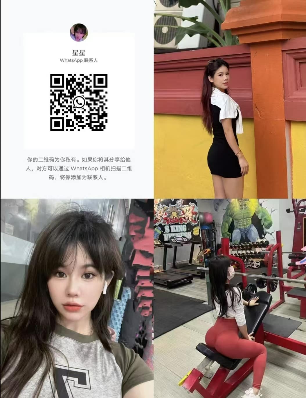 KD北京星星 (2).jpg